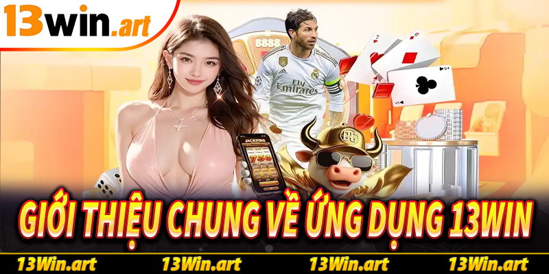 Giới thiệu chung về ứng dụng 13Win